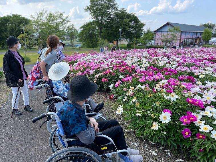 シャクヤクまつり