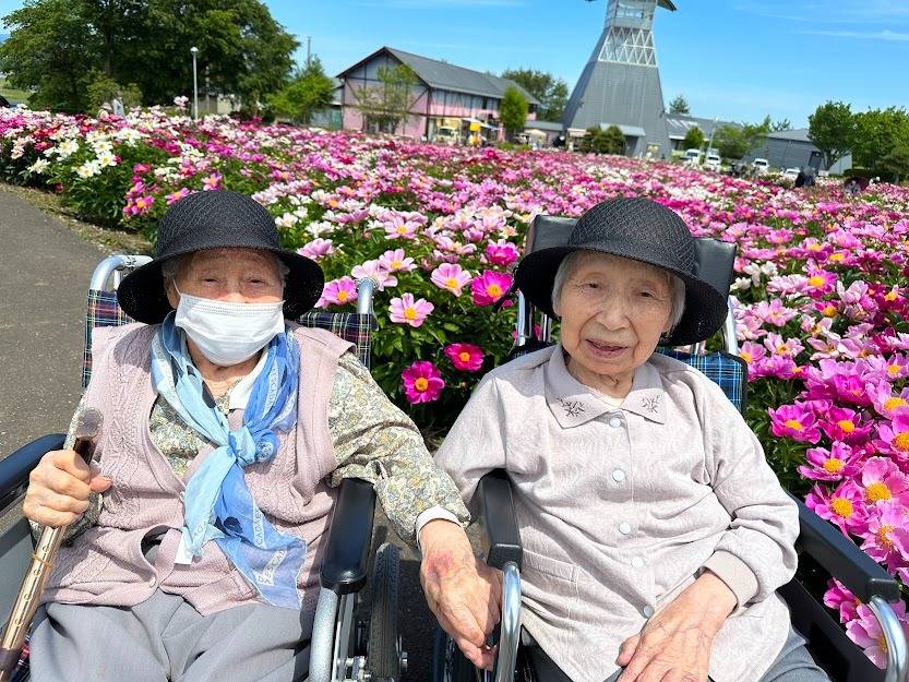 シャクヤクまつり